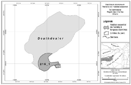 Carte 3 - Emplacement et étendue de la parcelle 215_1 de l’habitat essentiel de l’airelle à longues étamines