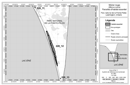 Carte 1
