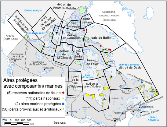 Sous-populations canadiennes d’ours blancs et aires protégées