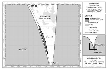 Map 1