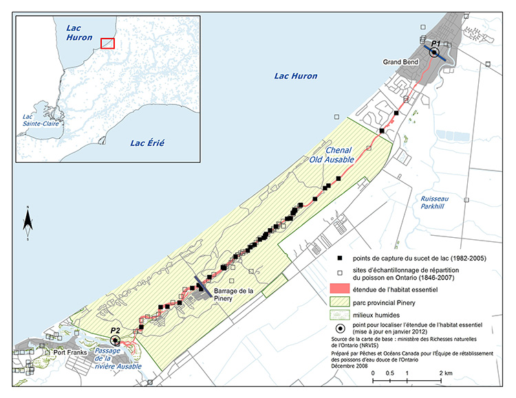 Carte 1 : habitat essentiel du sucet de lac dans le chenal Old Ausable