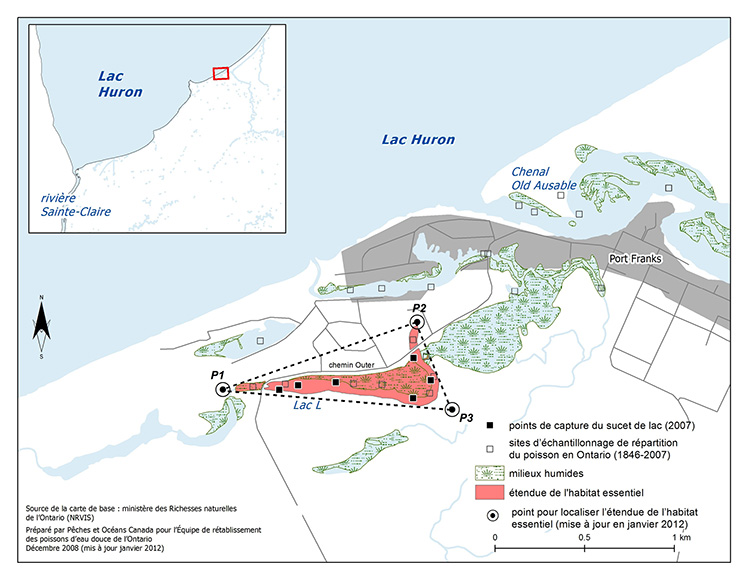 Carte 2 : habitat essentiel du sucet de lac dans le lac L