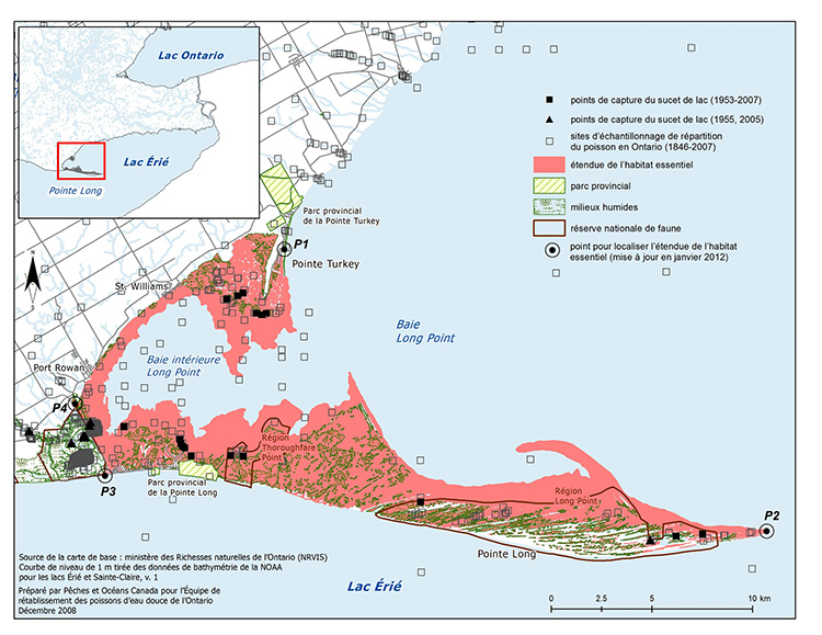 Carte 4 : habitat essentiel du sucet de lac dans la baie Long Point