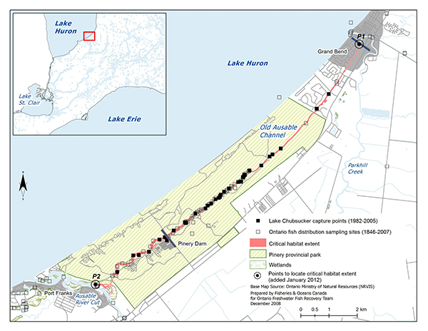 Detailed information can be found in the surrounding text.