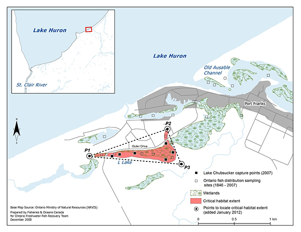 Detailed information can be found in the surrounding text.