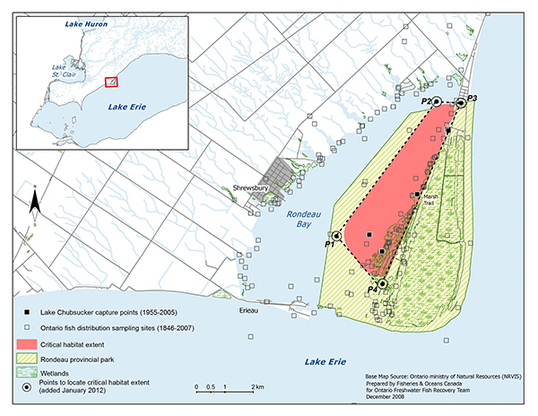 Detailed information can be found in the surrounding text.